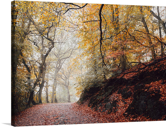 “Wrekin Hill in England” by Will Fuller invites you into a mystical autumn morning. As mist weaves through the forest, golden leaves crunch underfoot on a path that beckons you deeper. Towering trees, their branches forming a natural archway, guard secrets whispered by the wind. T