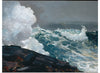 "Northeaster", Winslow Homer