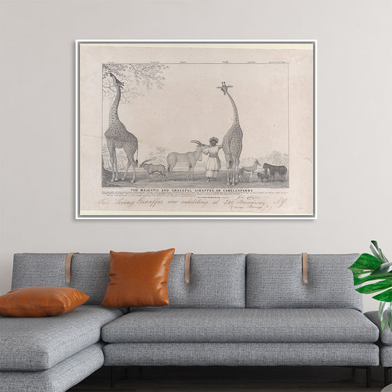 "The Majestic and Graceful Giraffes, or Cameleopards Met (1799-1857)", Edward Williams Clay
