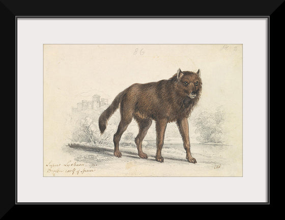 "The Black Wolf (1776-1859)", Charles Hamilton Smith