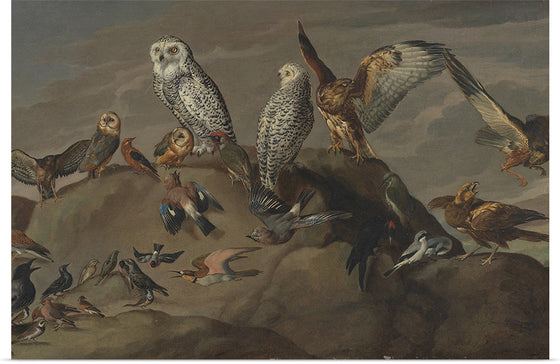 "Study of Birds"