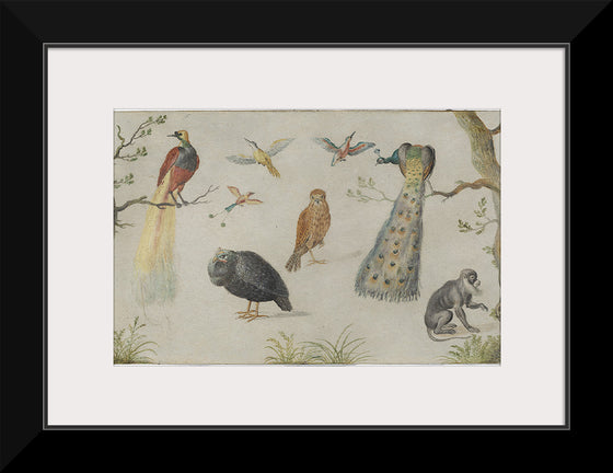 "Study of Birds and Monkeys (1660-1670)", Jan van Kessel