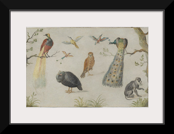 "Study of Birds and Monkeys (1660-1670)", Jan van Kessel