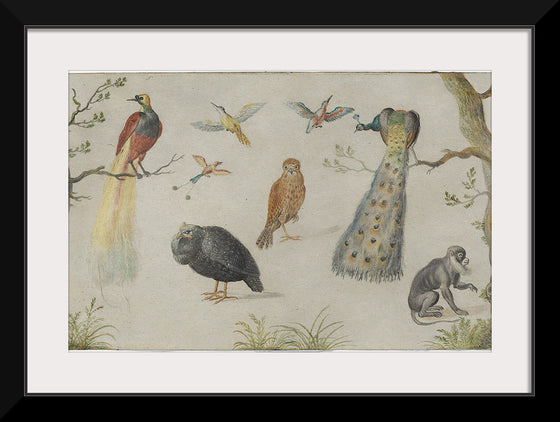 "Study of Birds and Monkeys (1660-1670)", Jan van Kessel