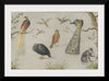 "Study of Birds and Monkeys (1660-1670)", Jan van Kessel