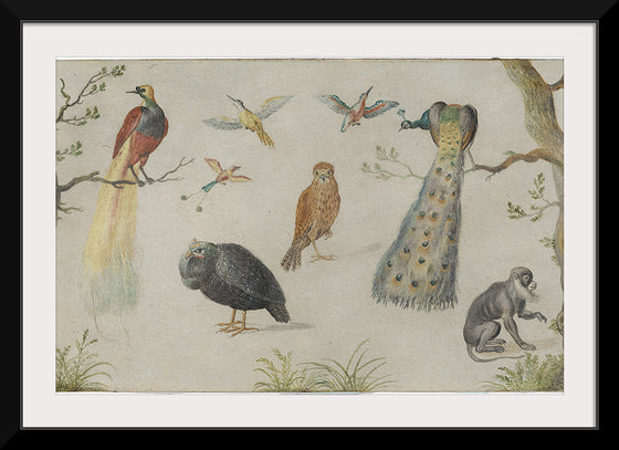 "Study of Birds and Monkeys (1660-1670)", Jan van Kessel