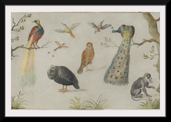 "Study of Birds and Monkeys (1660-1670)", Jan van Kessel