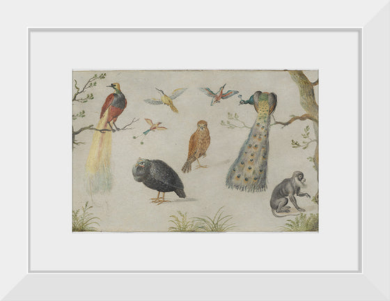 "Study of Birds and Monkeys (1660-1670)", Jan van Kessel