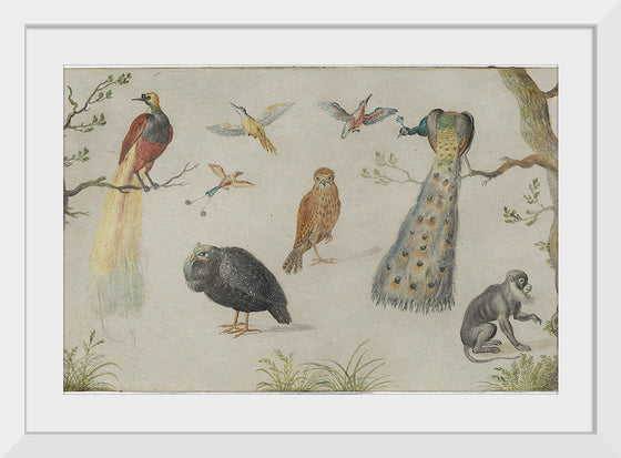 "Study of Birds and Monkeys (1660-1670)", Jan van Kessel