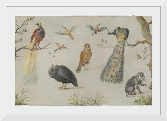 "Study of Birds and Monkeys (1660-1670)", Jan van Kessel