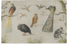 "Study of Birds and Monkeys (1660-1670)", Jan van Kessel