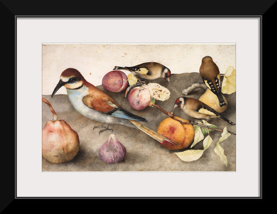 "Still Life with Birds and Fruit", by Giovanna Garzoni and Jacopo Ligozzi