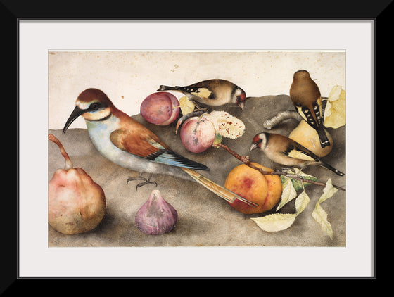 "Still Life with Birds and Fruit", by Giovanna Garzoni and Jacopo Ligozzi