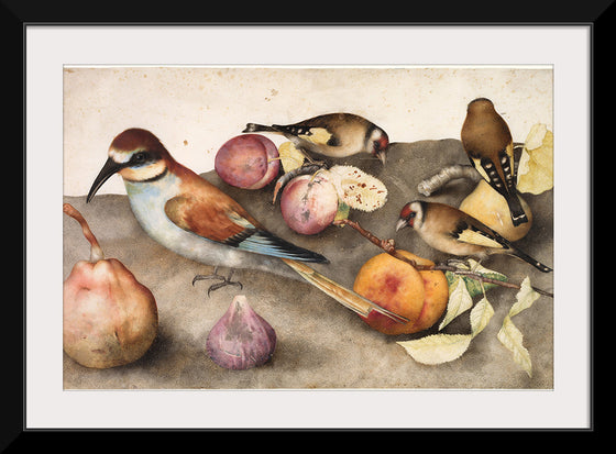 "Still Life with Birds and Fruit", by Giovanna Garzoni and Jacopo Ligozzi