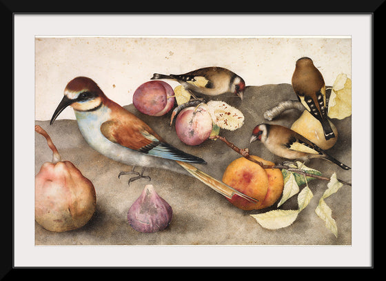 "Still Life with Birds and Fruit", by Giovanna Garzoni and Jacopo Ligozzi