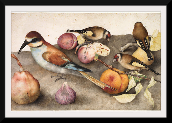 "Still Life with Birds and Fruit", by Giovanna Garzoni and Jacopo Ligozzi