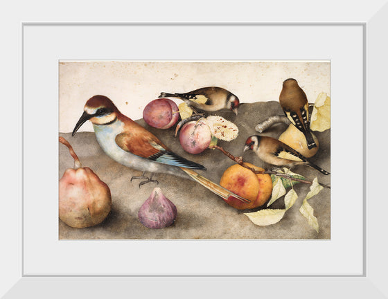 "Still Life with Birds and Fruit", by Giovanna Garzoni and Jacopo Ligozzi