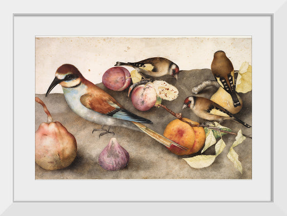 "Still Life with Birds and Fruit", by Giovanna Garzoni and Jacopo Ligozzi