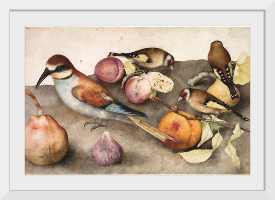 "Still Life with Birds and Fruit", by Giovanna Garzoni and Jacopo Ligozzi