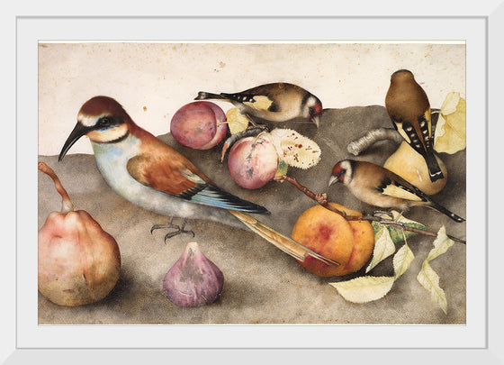 "Still Life with Birds and Fruit", by Giovanna Garzoni and Jacopo Ligozzi