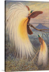 Thomas William Wood’s “Birds of Paradise” is a stunning print that captures the beauty of nature. The artwork is a print of a watercolor painting, originally created in the 19th century. The print features a group of birds of paradise, perched on a branch, with intricate details and a unique style that is characteristic of Wood’s work.