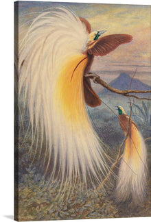  Thomas William Wood’s “Birds of Paradise” is a stunning print that captures the beauty of nature. The artwork is a print of a watercolor painting, originally created in the 19th century. The print features a group of birds of paradise, perched on a branch, with intricate details and a unique style that is characteristic of Wood’s work.