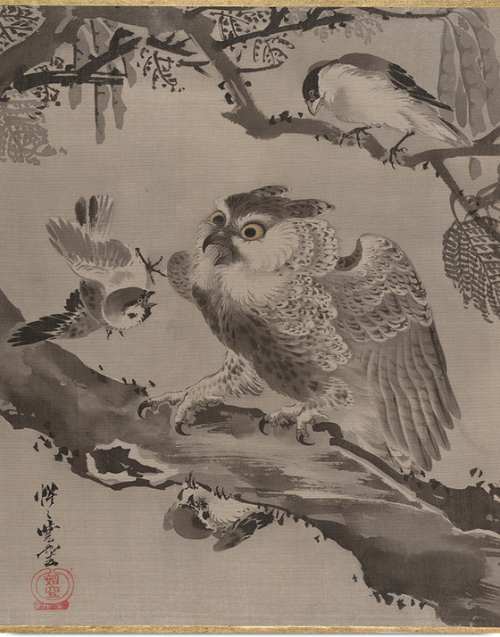 "Owl Mocked by Small Birds", Kawanabe Kyosai