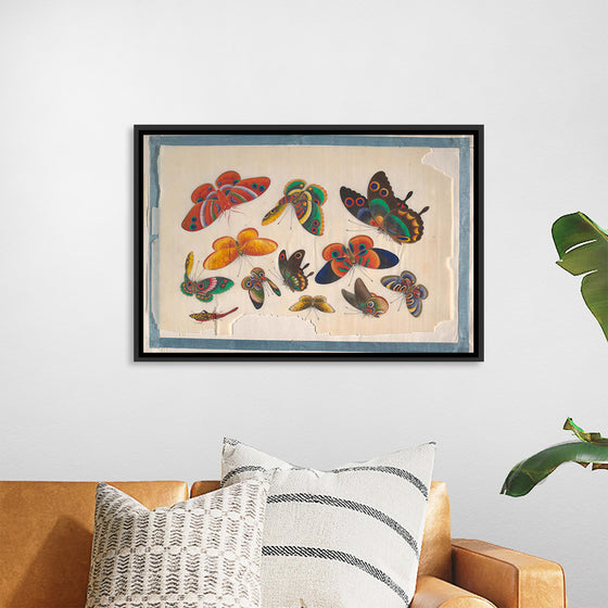 "Twelve Paintings of Butterflies"