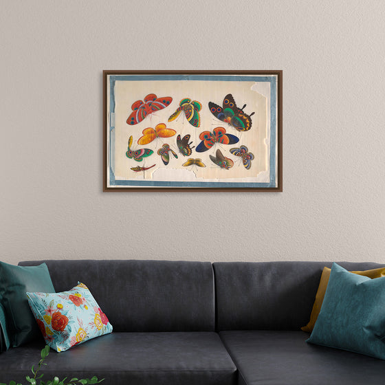 "Twelve Paintings of Butterflies"