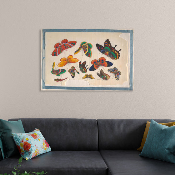 "Twelve Paintings of Butterflies"