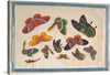 This captivating print brings the ethereal beauty of butterflies to life. Each butterfly, meticulously illustrated with vibrant hues and intricate details, seems to dance across the canvas in mid-flight. Set against a pristine backdrop, the artwork showcases nature’s elegance and the mesmerizing patterns that adorn the wings of these delicate creatures.