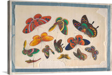  This captivating print brings the ethereal beauty of butterflies to life. Each butterfly, meticulously illustrated with vibrant hues and intricate details, seems to dance across the canvas in mid-flight. Set against a pristine backdrop, the artwork showcases nature’s elegance and the mesmerizing patterns that adorn the wings of these delicate creatures.