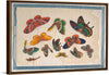 "Twelve Paintings of Butterflies"