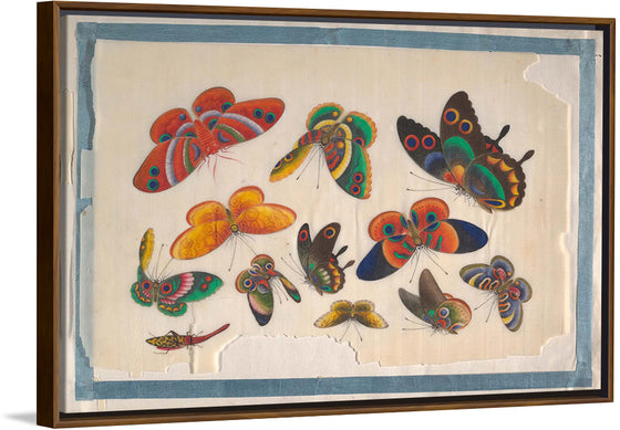 "Twelve Paintings of Butterflies"