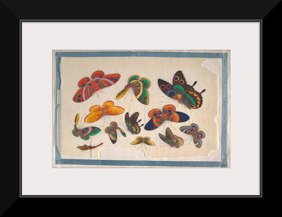 "Twelve Paintings of Butterflies"