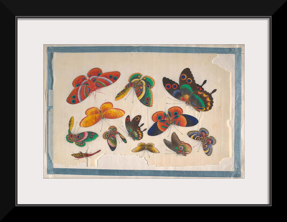 "Twelve Paintings of Butterflies"