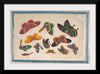 "Twelve Paintings of Butterflies"