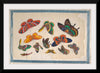 "Twelve Paintings of Butterflies"