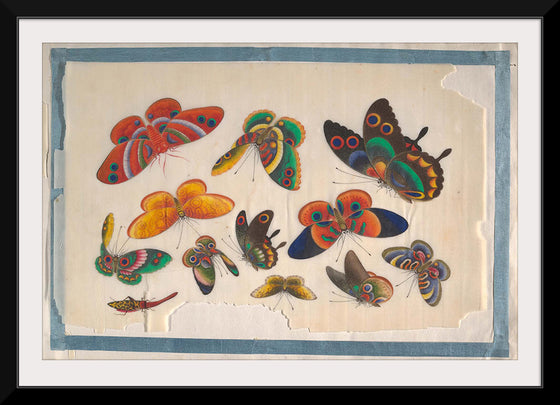 "Twelve Paintings of Butterflies"