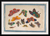 "Twelve Paintings of Butterflies"