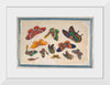 "Twelve Paintings of Butterflies"