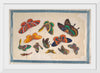 "Twelve Paintings of Butterflies"