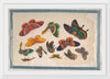 "Twelve Paintings of Butterflies"