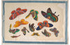 "Twelve Paintings of Butterflies"