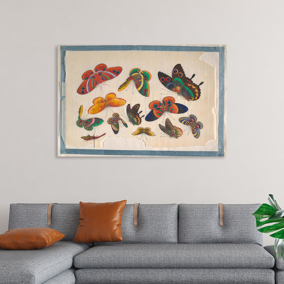 "Twelve Paintings of Butterflies"