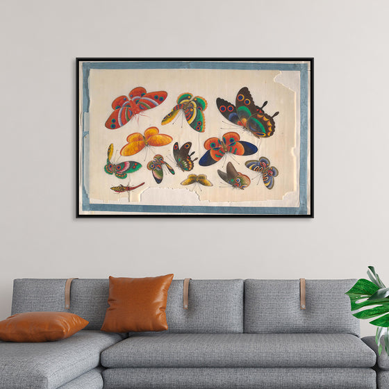 "Twelve Paintings of Butterflies"