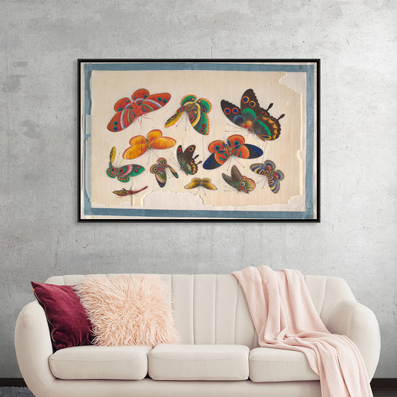 "Twelve Paintings of Butterflies"