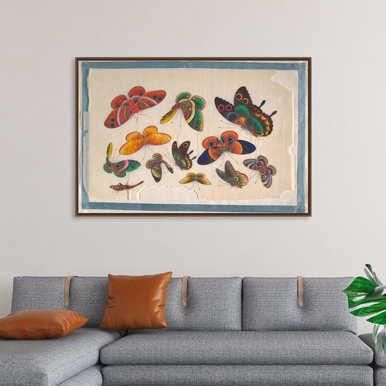 "Twelve Paintings of Butterflies"