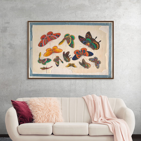 "Twelve Paintings of Butterflies"