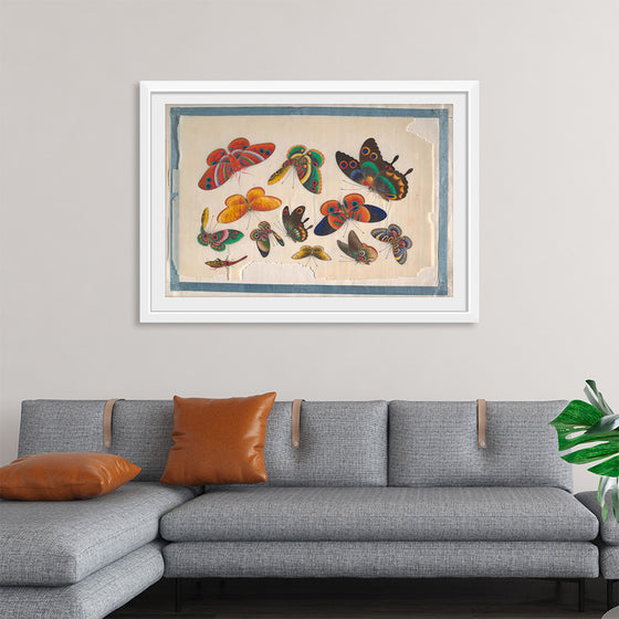 "Twelve Paintings of Butterflies"